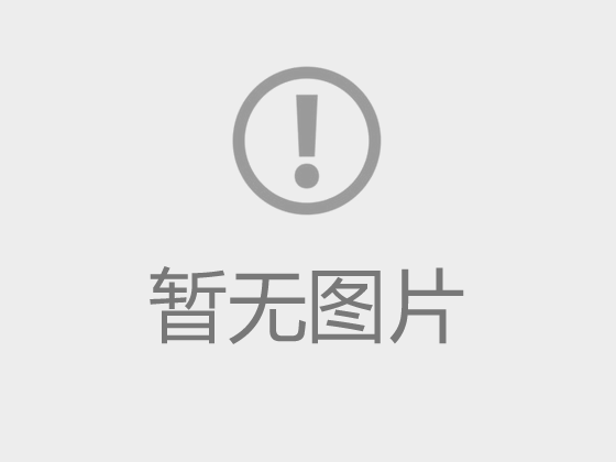國務院關于進一步做好新形勢下就業(yè)創(chuàng)業(yè)工作的意見