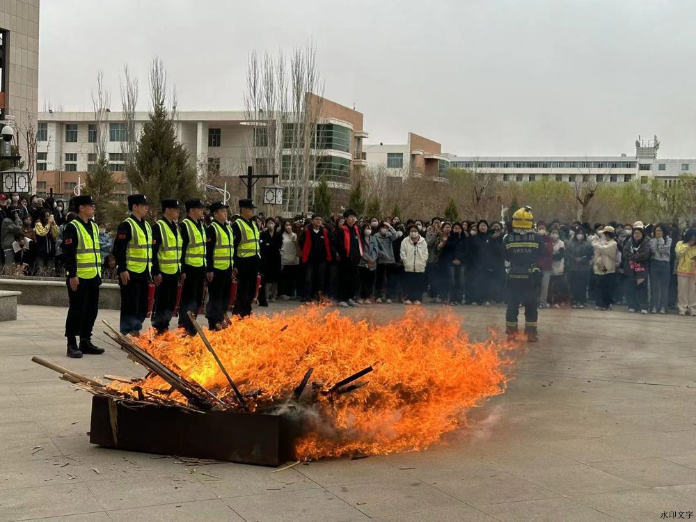 330f864c90a8cc32755950b6ff08735